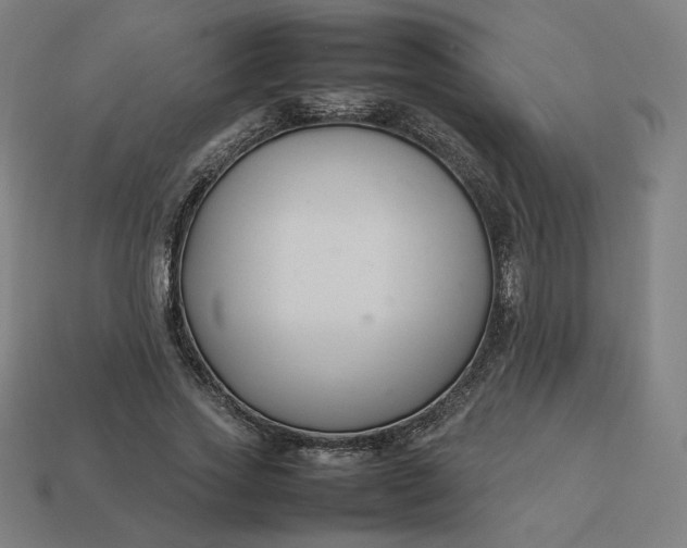 X0000113370733200910061100