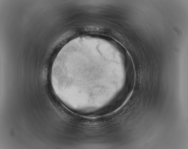 X0000113370735200910061100