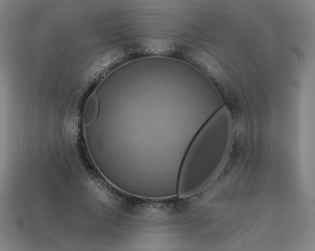 X0000113370736200910061100