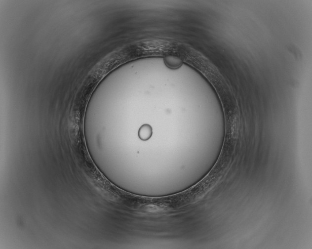 X0000113370737200910061100