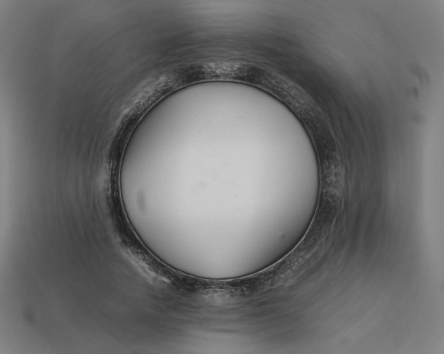 X0000113370738200910061100