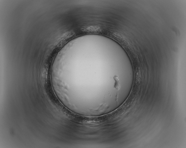 X0000113370739200910061100