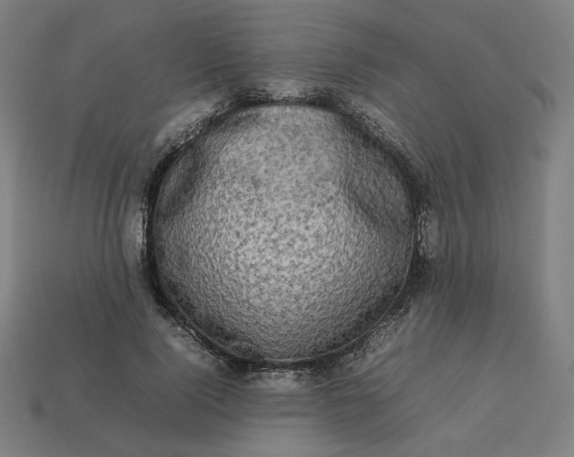 X0000113370740200910061100