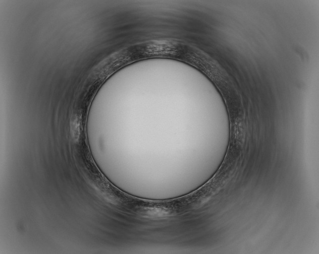 X0000113370741200910061100