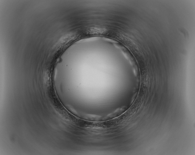 X0000113370743200910061100