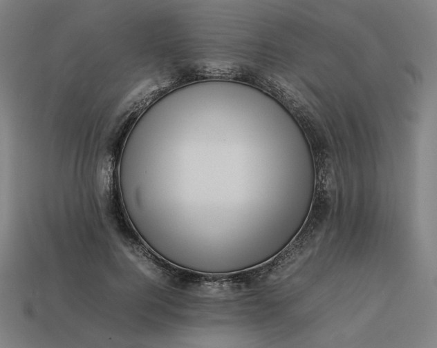 X0000113370744200910061100