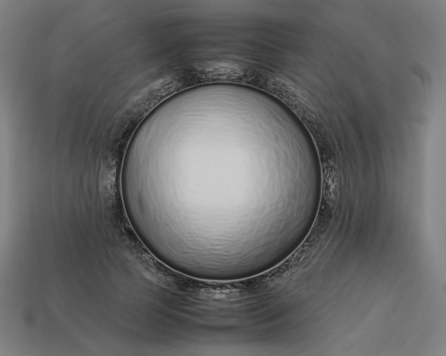 X0000113370745200910061100