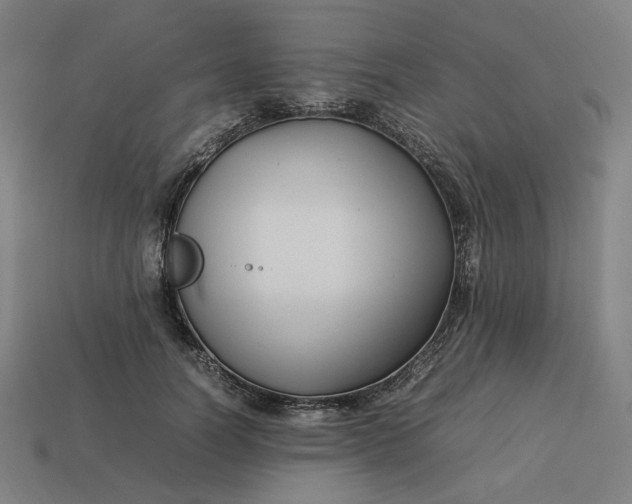 X0000113370746200910061100