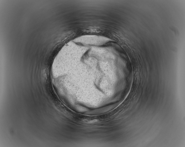 X0000113370747200910061100