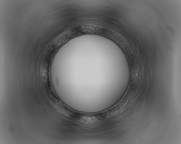 X0000113370749200910061100