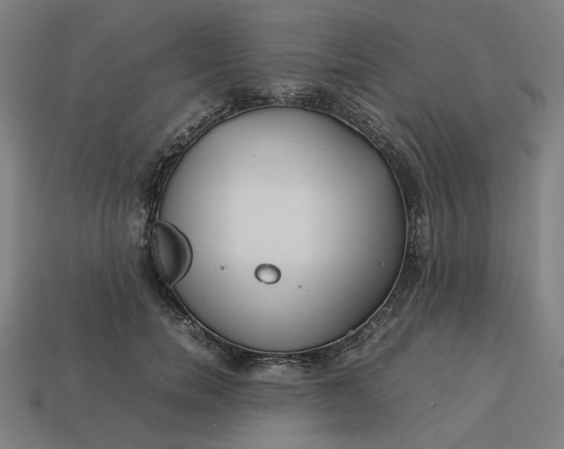 X0000113370750200910061100