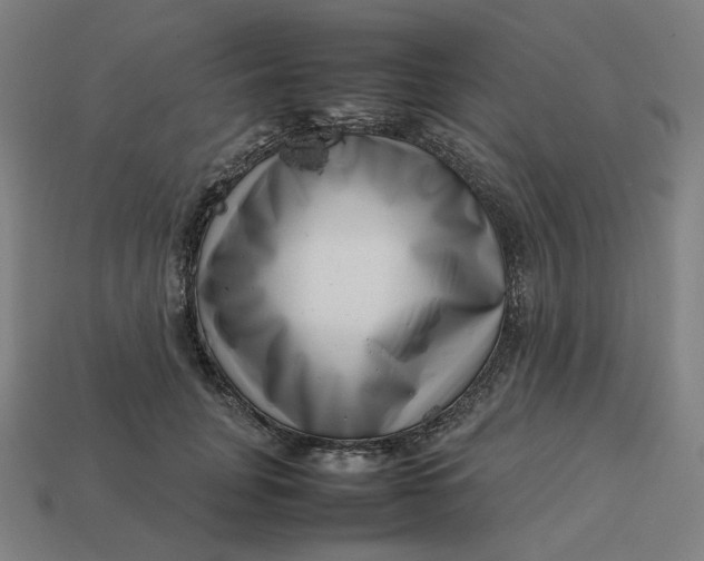 X0000113370751200910061100