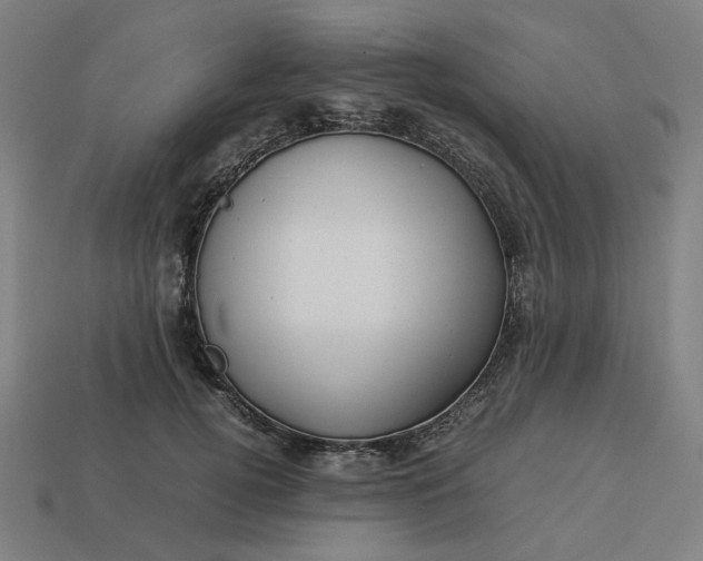 X0000113370752200910061100