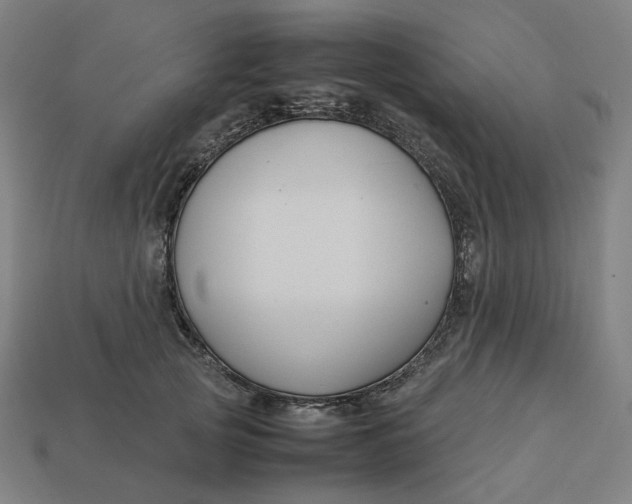 X0000113370753200910061100