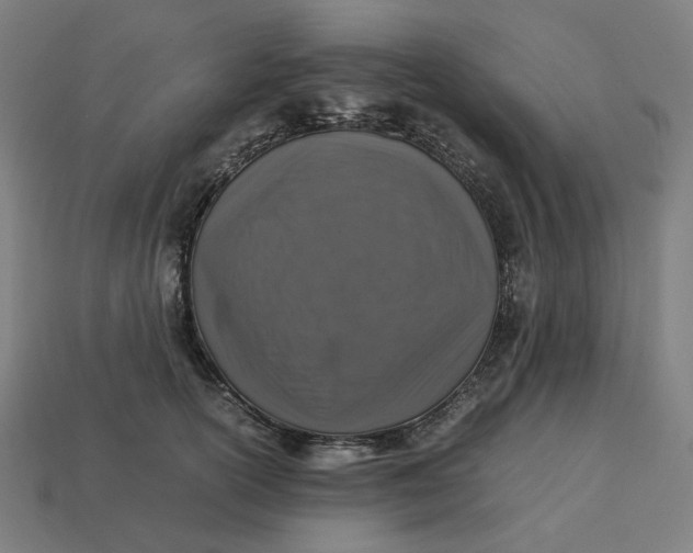 X0000113370754200910061100