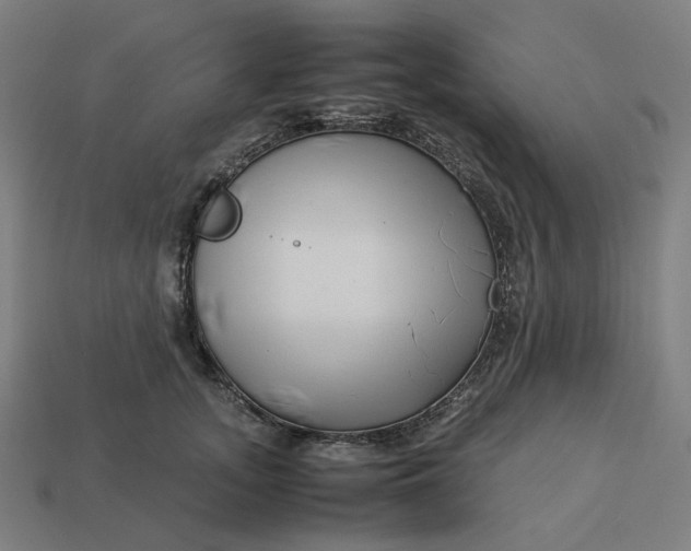 X0000113370755200910061100