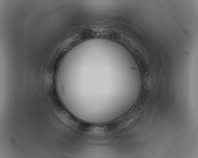 X0000113370756200910061100