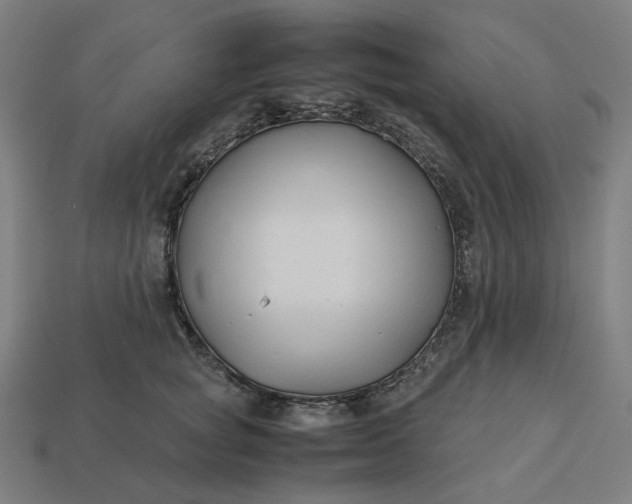 X0000113370757200910061100