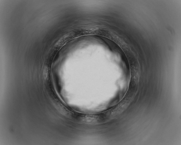 X0000113370758200910061100