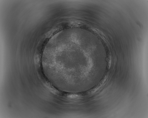 X0000113370759200910061100