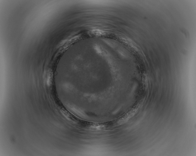 X0000113370760200910061100