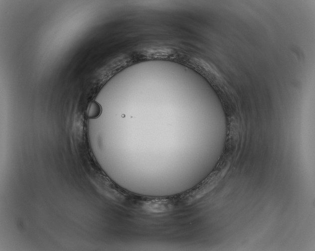 X0000113370761200910061100