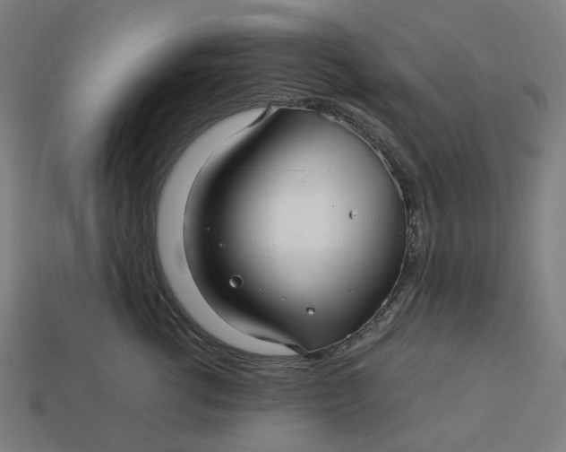 X0000113370762200910061100