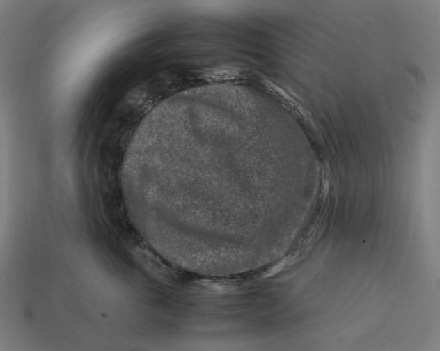 X0000113370763200910061100