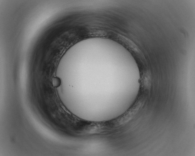 X0000113370764200910061100