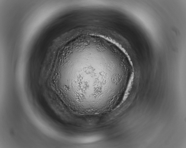 X0000113370765200910061100