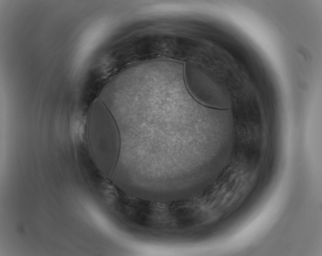 X0000113370766200910061100