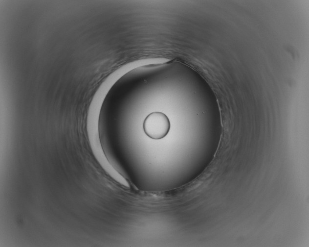 X0000113370768200910061100