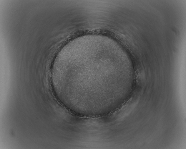 X0000113370769200910061059