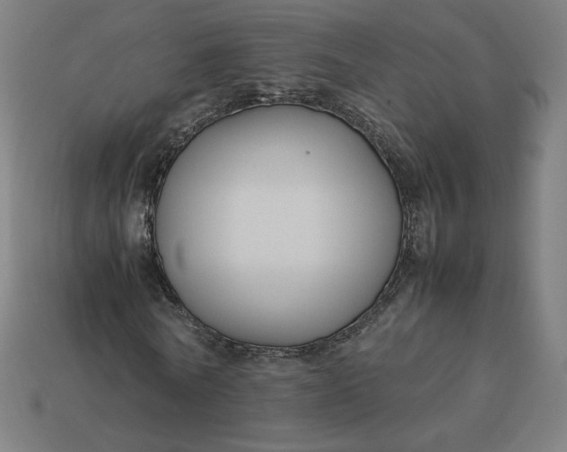 X0000113370770200910061059