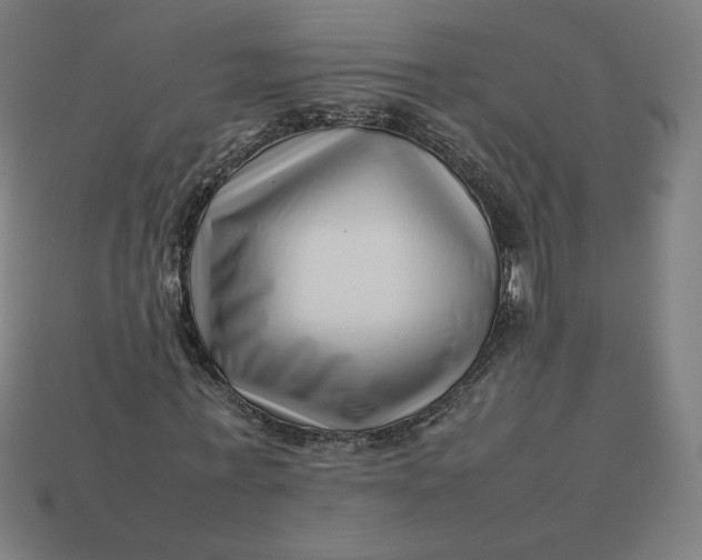 X0000113370771200910061059