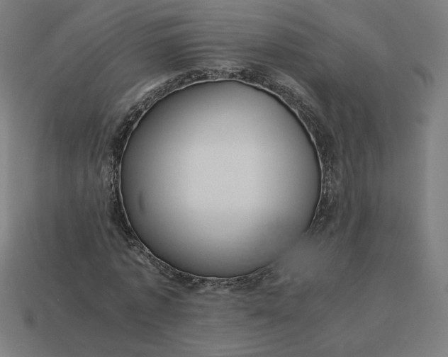 X0000113370773200910061059