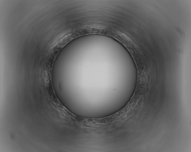 X0000113370774200910061059