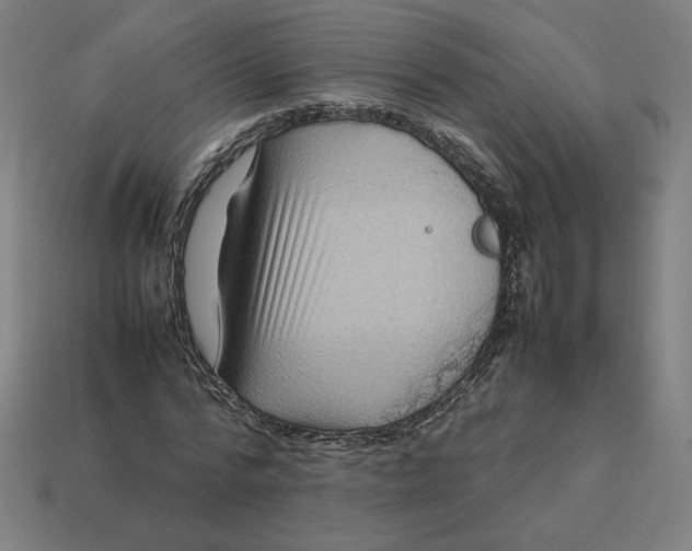 X0000113370776200910061059