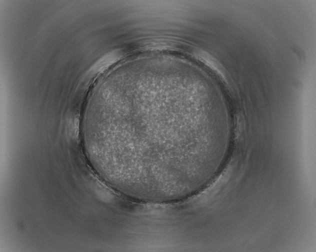 X0000113370777200910061059