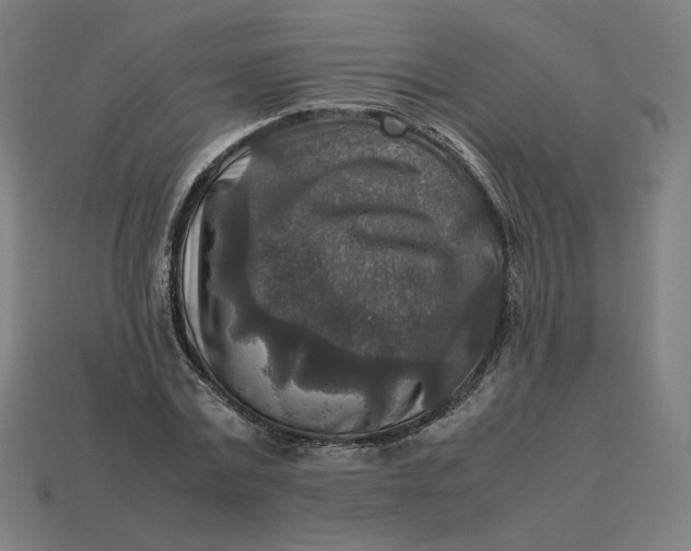 X0000113370779200910061059