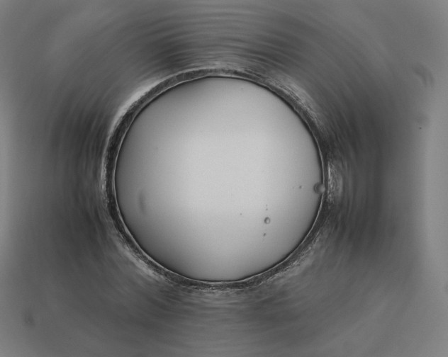 X0000113370780200910061059