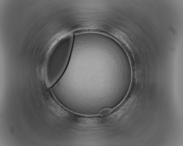 X0000113370781200910061059