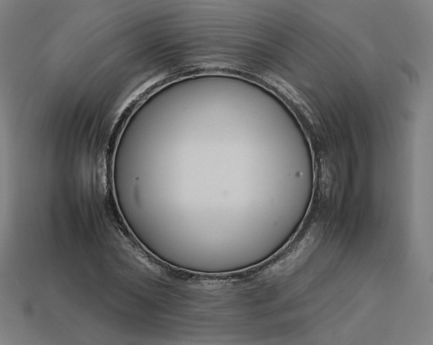 X0000113370782200910061059