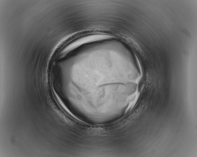 X0000113370784200910061059