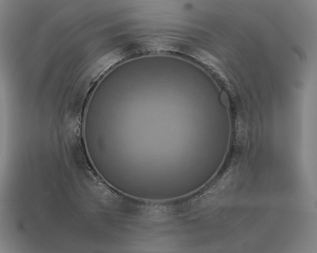 X0000113370785200910061059