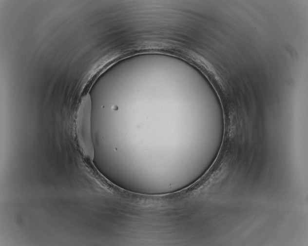 X0000113370786200910061059