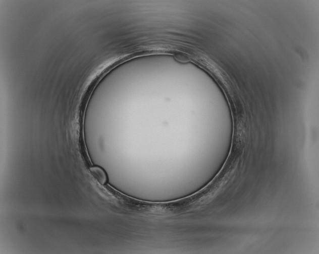 X0000113370787200910061059