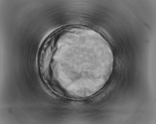 X0000113370788200910061059