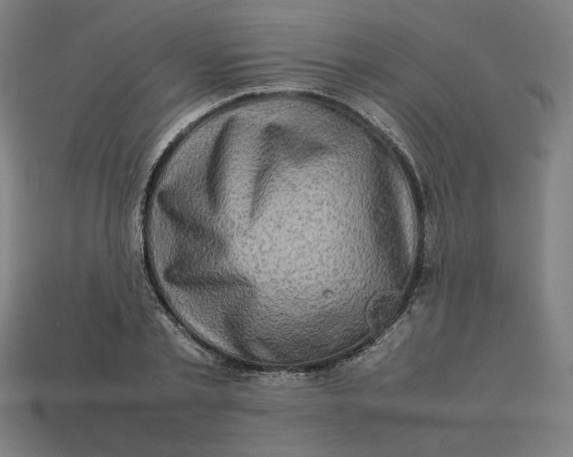 X0000113370789200910061059