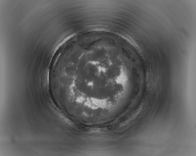 X0000113370790200910061059